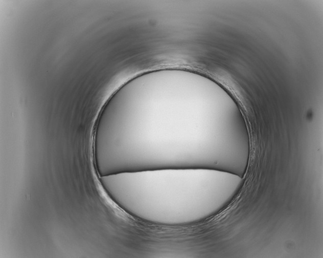 X0000094191439200710260944
