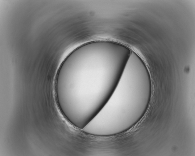 X0000094191440200710260944