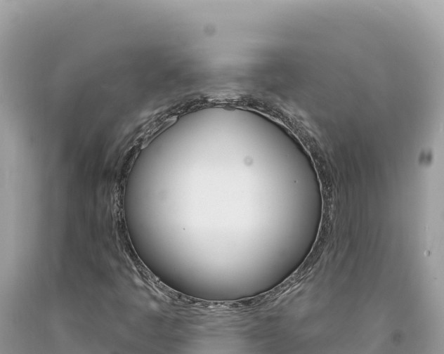 X0000094191445200710260944