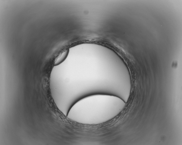 X0000094191447200710260944