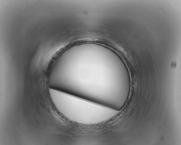 X0000094191448200710260944