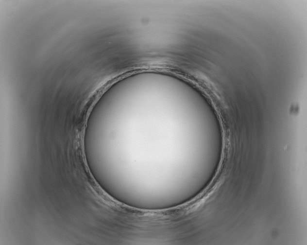 X0000094191449200710260944