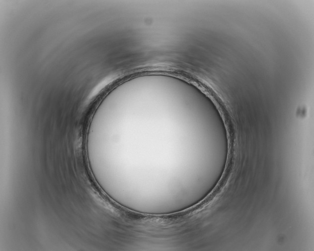 X0000094191450200710260944