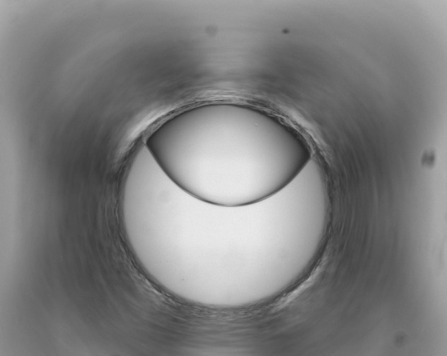 X0000094191453200710260944