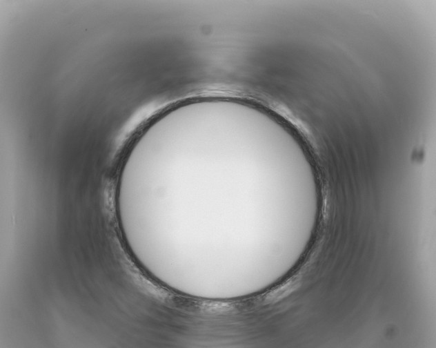 X0000094191454200710260944