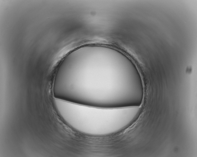 X0000094191455200710260944