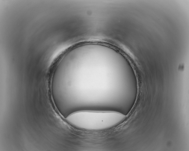 X0000094191456200710260944
