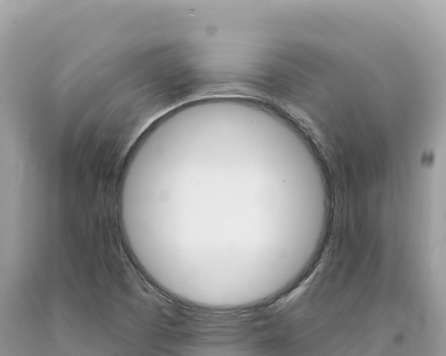 X0000094191457200710260944