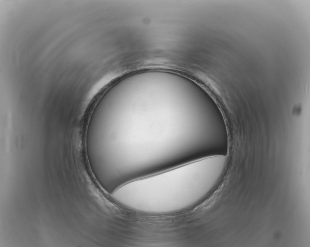 X0000094191458200710260944
