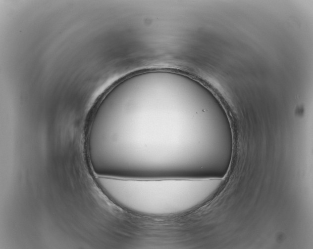 X0000094191460200710260943