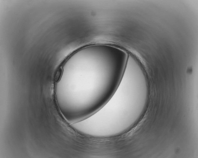 X0000094191461200710260943