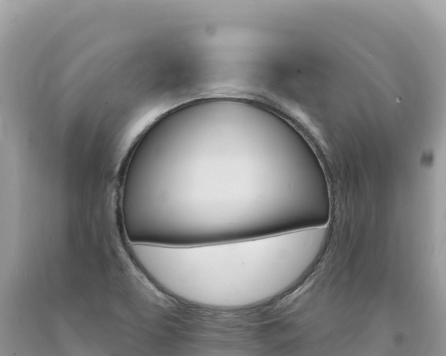 X0000094191463200710260943