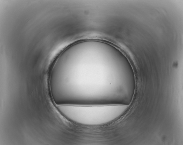 X0000094191464200710260943