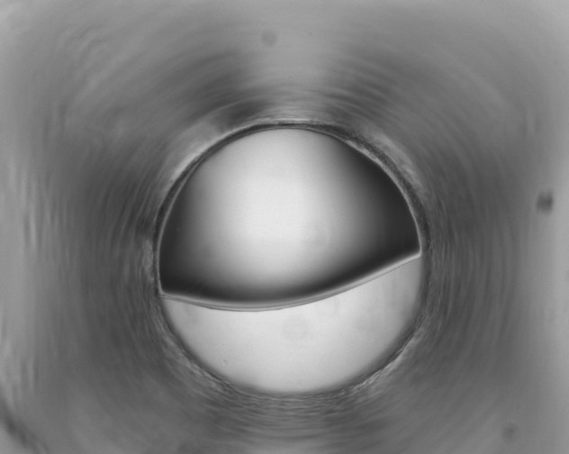 X0000094191465200710260943
