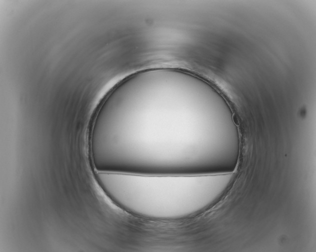 X0000094191468200710260943