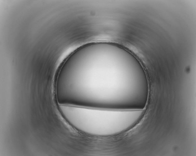 X0000094191469200710260943
