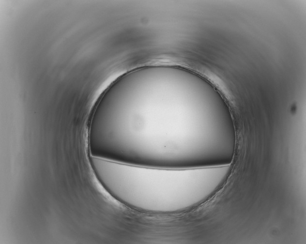 X0000094191476200710260943