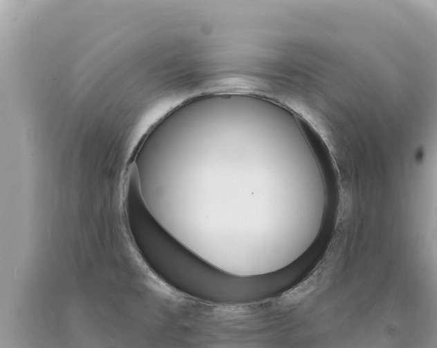 X0000094191477200710260943