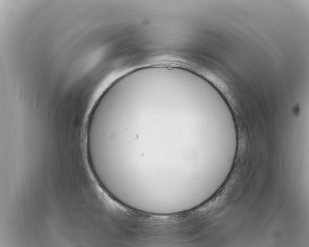 X0000094191478200710260943