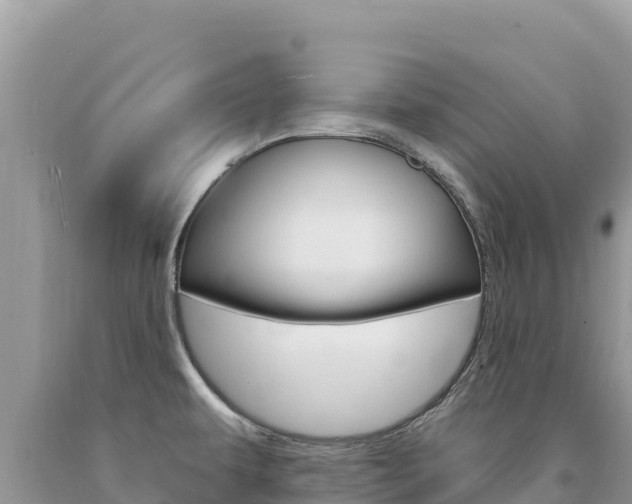 X0000094191479200710260943