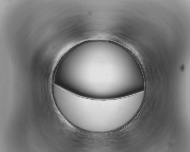 X0000094191480200710260943