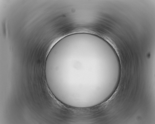 X0000094191481200710260943