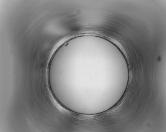 X0000094191482200710260943