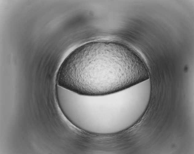 X0000094191483200710260943