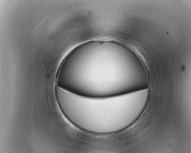 X0000094191484200710260943