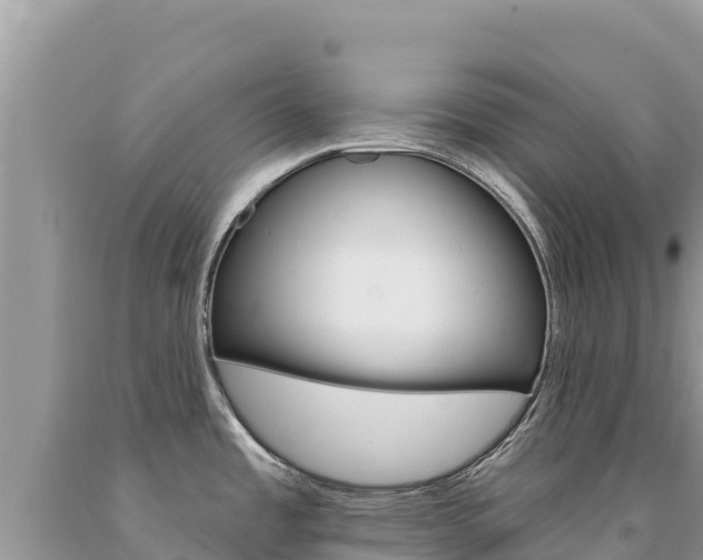 X0000094191485200710260943