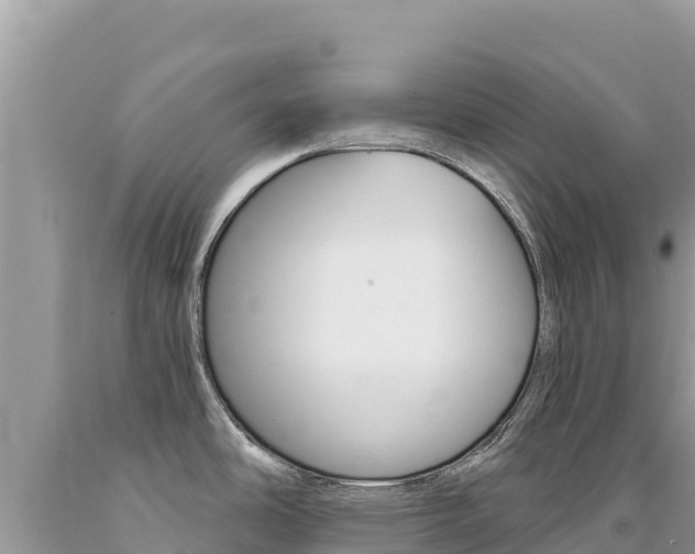 X0000094191486200710260943