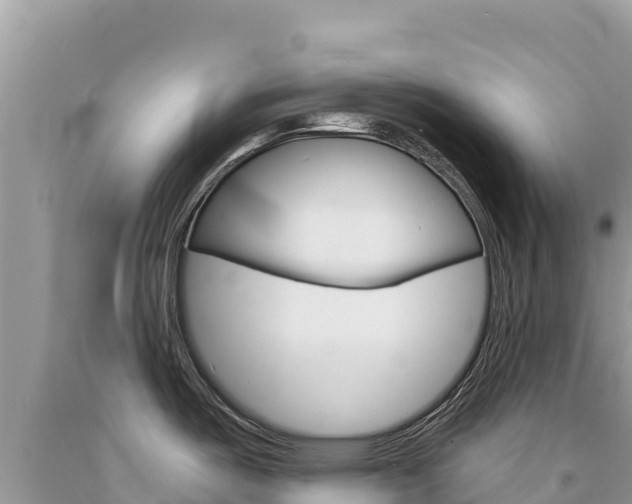 X0000094191487200710260943