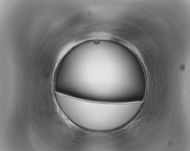 X0000094191488200710260943