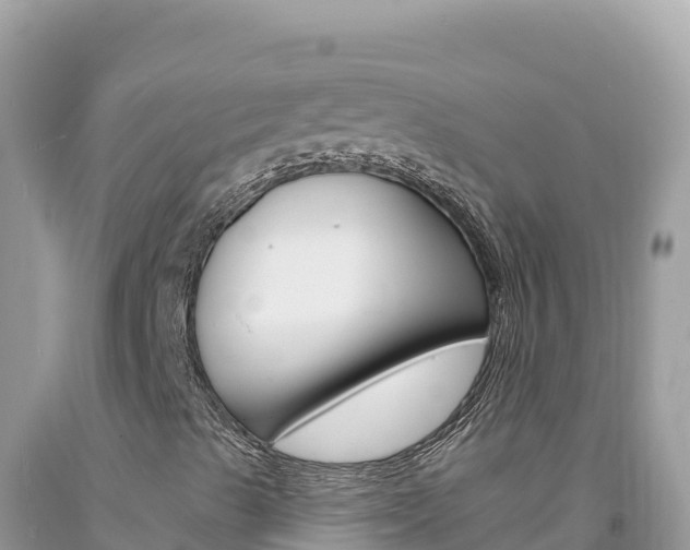 X0000094191489200710260942
