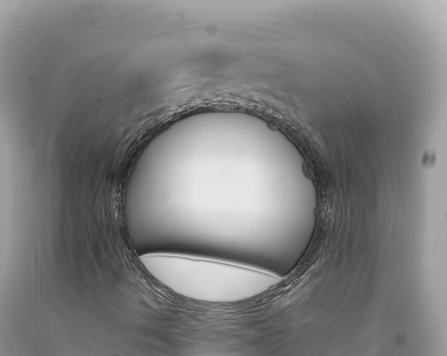 X0000094191490200710260942