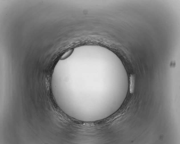 X0000094191491200710260942