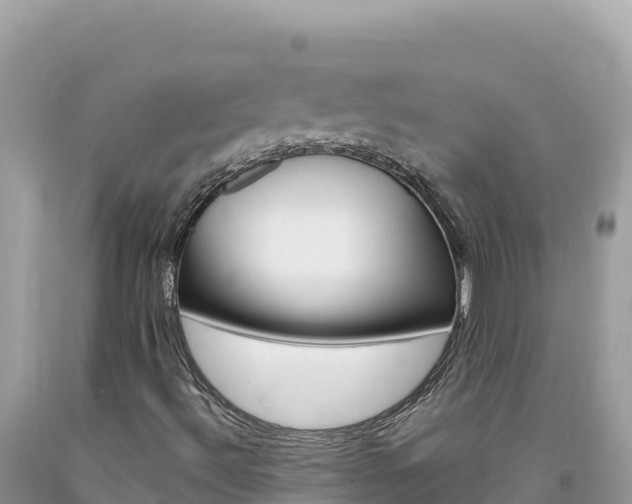 X0000094191492200710260942