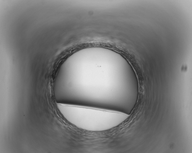 X0000094191493200710260942