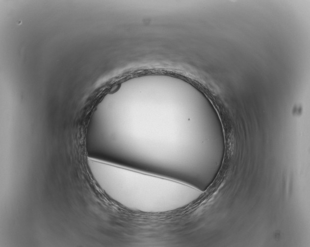 X0000094191494200710260942