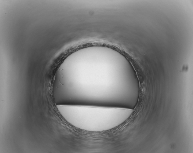X0000094191495200710260943