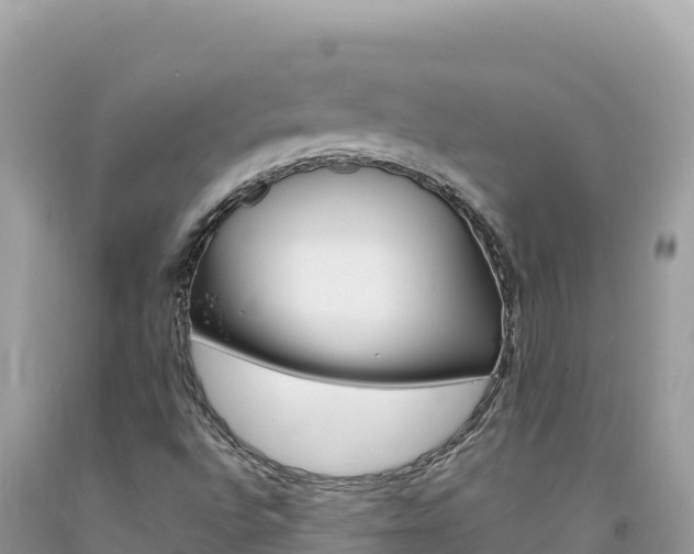 X0000094191496200710260943