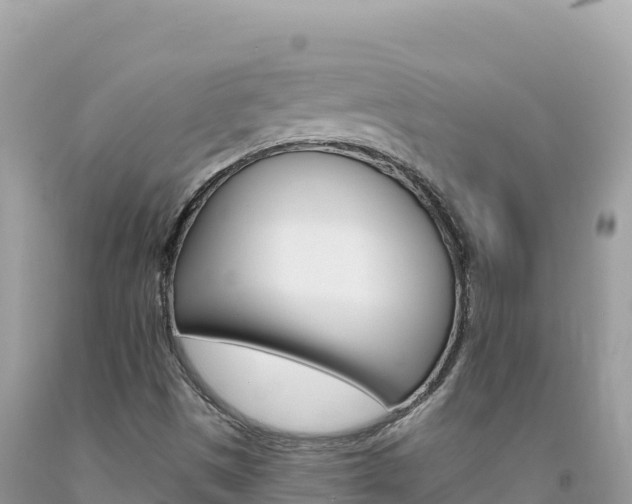 X0000094191497200710260943