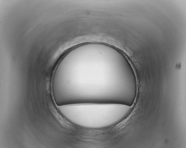 X0000094191499200710260943