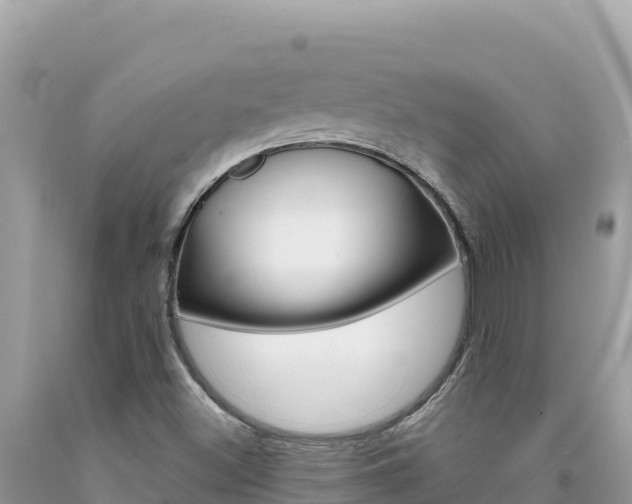 X0000094191500200710260943