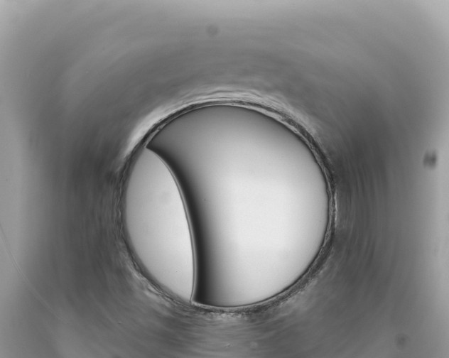 X0000094191501200710260943