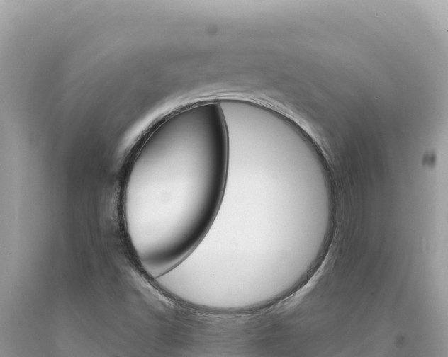 X0000094191502200710260943