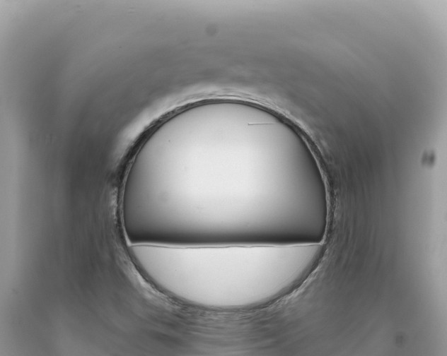 X0000094191503200710260943