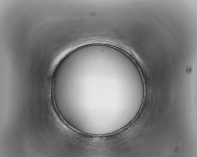 X0000094191504200710260943