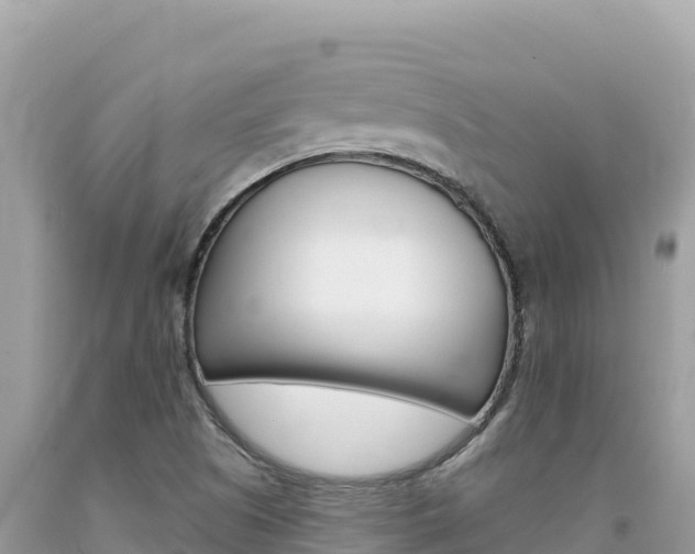X0000094191505200710260943