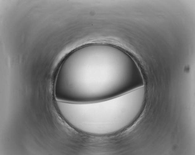 X0000094191506200710260943